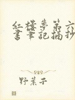 红楼梦第六章读书笔记摘抄及感悟