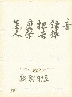 怎么把录音里的人声去掉