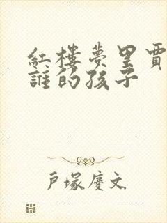 红楼梦里贾瑞是谁的孩子