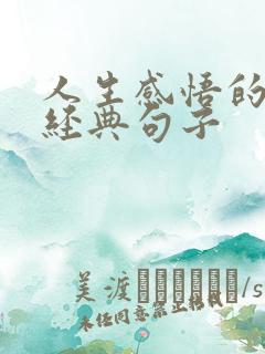 人生感悟的佛语经典句子