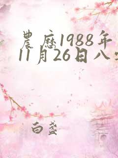 农历1988年11月26日八字算命