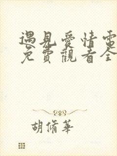 遇见爱情电视剧免费观看全集高清