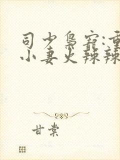司少枭宠:重生小妻火辣辣