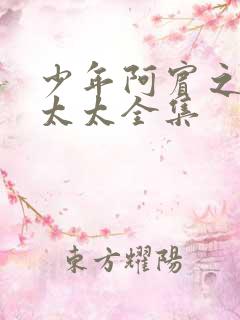少年阿宾之房东太太全集