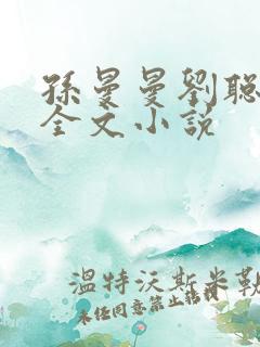 孙曼曼刘聪免费全文小说