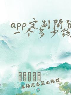 app定制开发一个多少钱