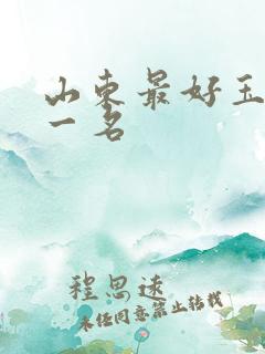 山东最好玉米第一名