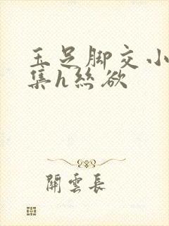 玉足脚交小说合集h丝欲