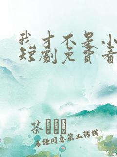 我才不是小可怜短剧免费看
