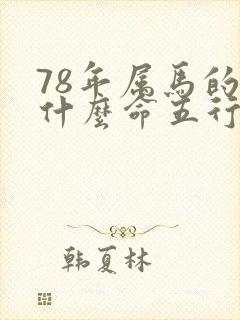 78年属马的是什么命五行属什么