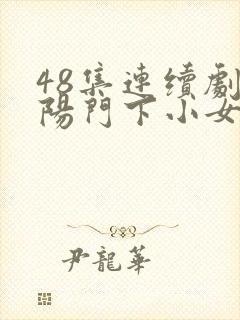48集连续剧正阳门下小女人