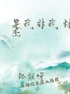 是我非我 林俊杰