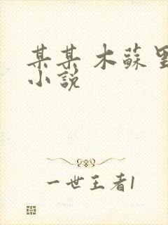 某某 木苏里 小说