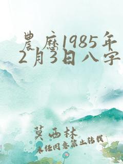 农历1985年2月3日八字运程
