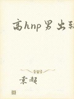 高hnp男出轨