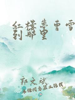 红楼梦曹雪芹写到哪里