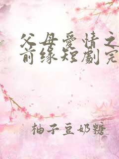 父母爱情之再续前缘短剧完整版