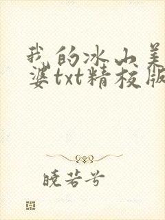 我的冰山美女老婆txt精校版