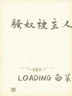 骚奴被主人调教