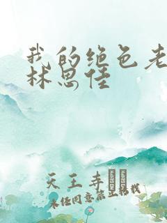 我的绝色老板娘林思佳