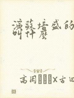 演苏培盛的演员叫什么