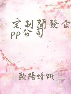 定制开发企业app公司