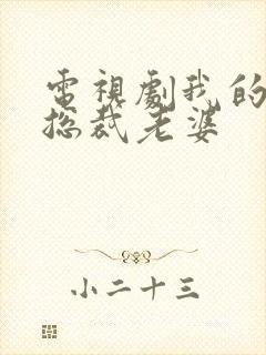 电视剧我的极品总裁老婆