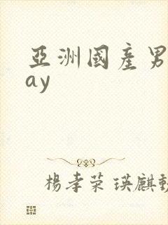 亚洲国产男同gay