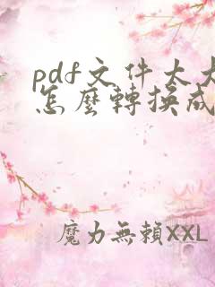 pdf文件太大怎么转换成word