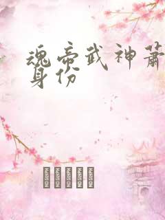 魂帝武神萧逸的身份