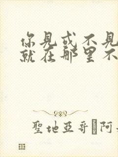 你见或不见我我就在那里不悲不喜