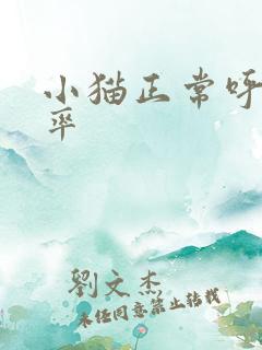 小猫正常呼吸频率