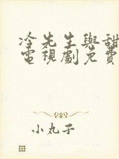 冷先生与甜小姐电视剧免费