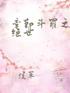 章节斗罗之双枪绝世
