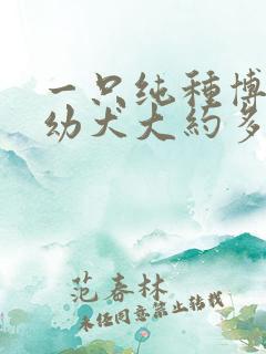 一只纯种博美狗幼犬大约多少钱