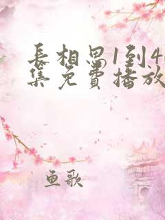 长相思1到40集免费播放
