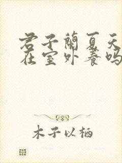 君子兰夏天可以在室外养吗