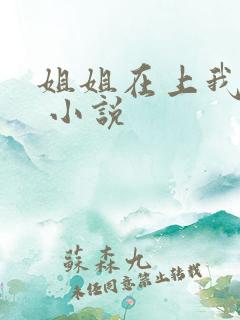 姐姐在上我在下 小说