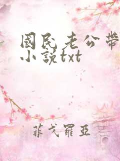 国民老公带回家小说txt