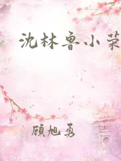 沈林鲁小荣短剧