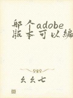 哪个adobe版本可以编辑pdf