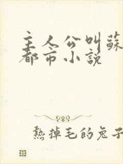 主人公叫苏辰的都市小说