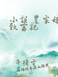 小说 农家娘子致富记