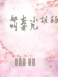 哪本小说的主角叫萧凡