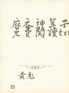 麻衣神算子小说免费阅读txt下载