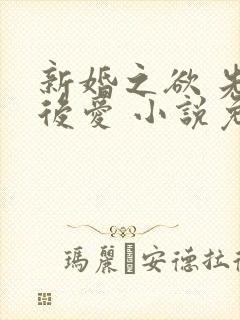 新婚之欲 先婚后爱 小说免费阅读
