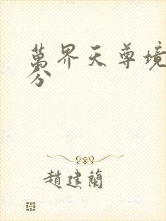 万界天尊境界划分