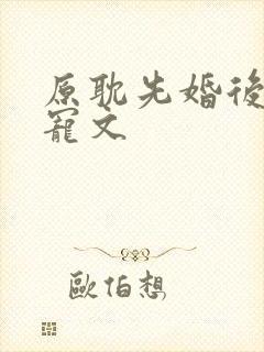 原耽先婚后爱甜宠文