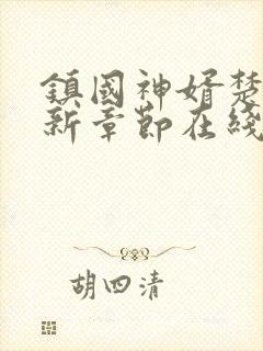 镇国神婿楚尘最新章节在线