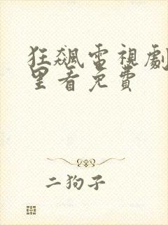 狂飙电视剧在哪里看免费